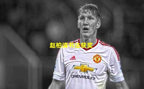 赵柏清书法获奖